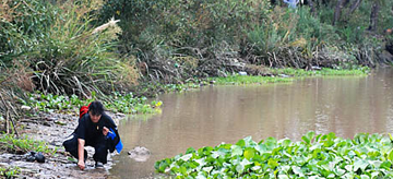Comunidades indígenas enfrentan a Eidico para preservar Punta Canal