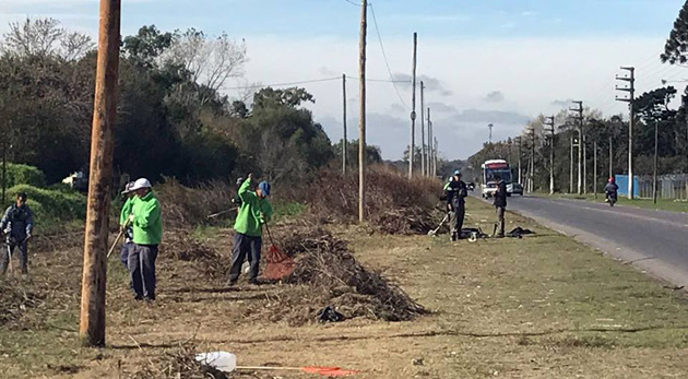 Fuerte operativo de desmalezamiento y limpieza entre la ruta 9 vieja y las vías
