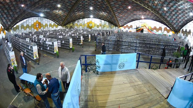 Escobar es sede del 67º Campeonato Argentino de Canaricultura y Ornitología