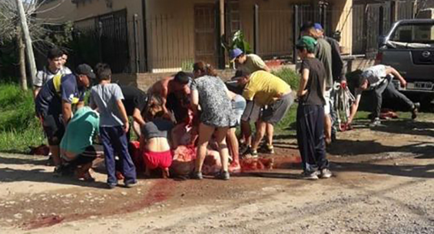 Relatos salvajes: Volcó un camión de ganado y los vecinos carnearon a las vacas