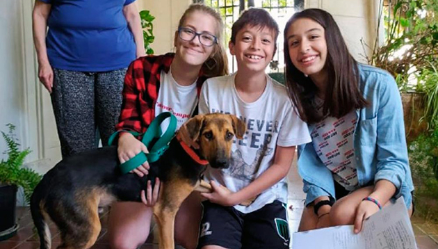 Una nueva oportunidad: Récord de adopción de mascotas en Escobar