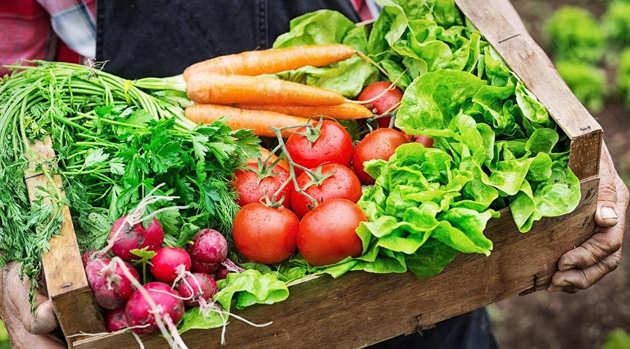 Comercio sustentable: Organizan una feria de productos orgánicos en Maschwitz