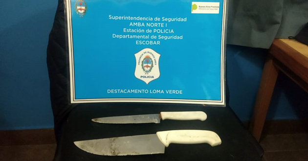 Una reunión entre amigos en Loma Verde terminó con disturbios y un detenido