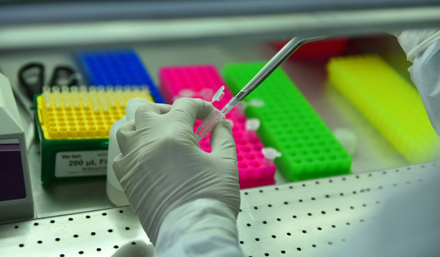 Coronavirus en Escobar: 22 contagios y 11 recuperados en las últimas 24 horas