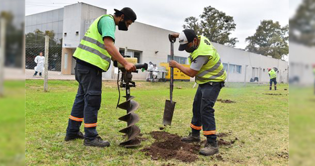 Avanza el plan de forestación para plantar 10.000 árboles en todo Escobar