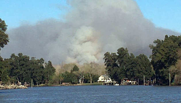 Incendio en el Delta: Afirman que no hay riesgo de que llegue a zonas pobladas