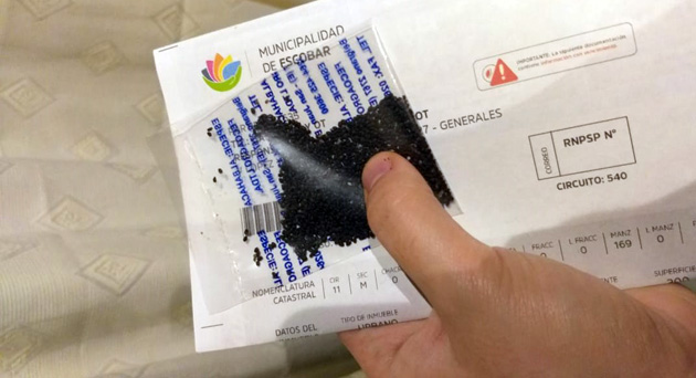 Entregan semillas de perejil, albahaca y cilantro con la tasa de servicios generales