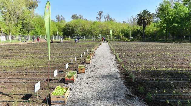 Empezó a funcionar en Maschwitz la primera huerta orgánica municipal