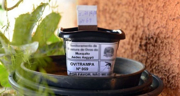 Dengue: Instalarán sensores para detectar la presencia de mosquitos transmisores