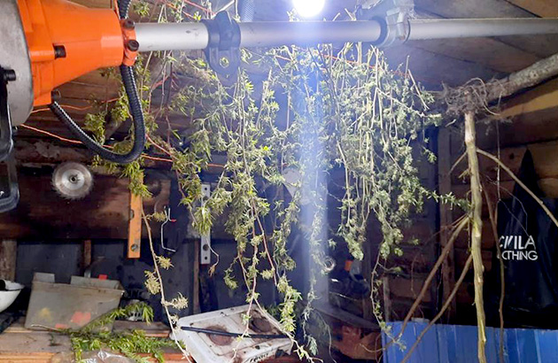 Tres detenidos por venta de marihuana bajo el puente del Río Luján