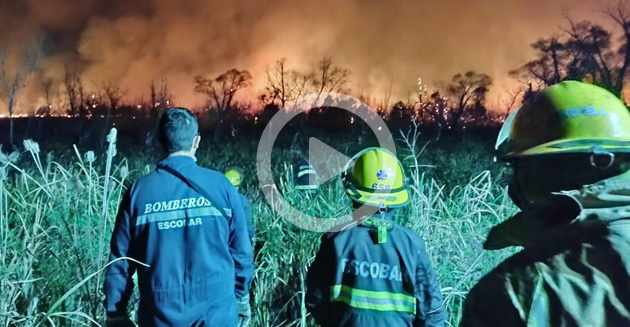 Impresionante incendio forestal en el Paraná, cerca del puerto regasificador