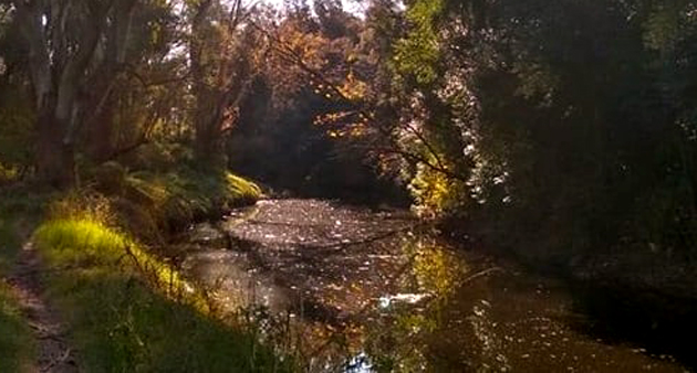 Frenan un pedido de informes sobre la situación ambiental del Arroyo Escobar