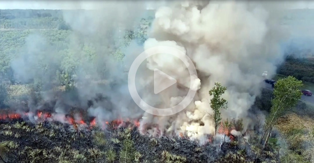 Impresionante incendio de un basural a cielo abierto en Ingeniero Maschwitz