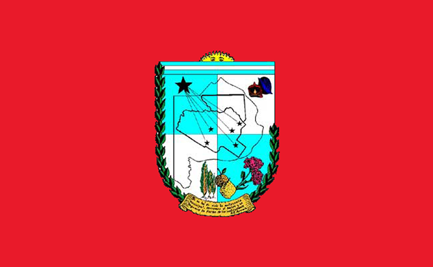 Emblema. La bandera de uso actual: el escudo municipal creado en 1960, sobre un lienzo rojo punzó.