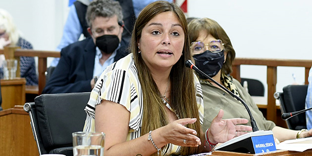 Fiscal y Tributaria: Juntos por el Cambio explicó su abstención en el debate