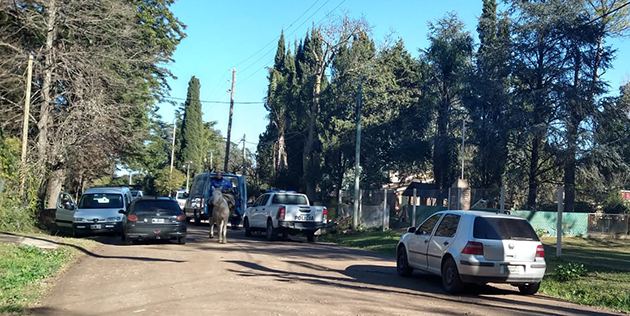 Conmoción en El Cazador: un podador murió al caer de un pino de 10 metros
