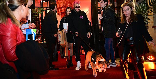 Glamour y celebridades en la primera función “pet friendly” del Seminari