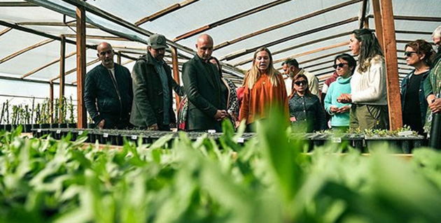 Flora autóctona: el Municipio inauguró en Loma Verde un vivero de nativas