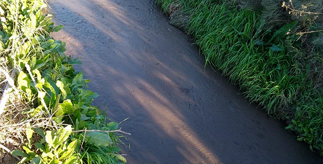 Denuncian que un country de Maschwitz arroja materia fecal en una zanja