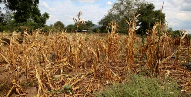 Sequía “severa”: Escobar es uno de los 44 municipios bonaerenses afectados