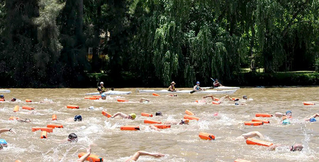 Maratón acuática de Escobar: más de 300 nadadores en el Paraná de las Palmas