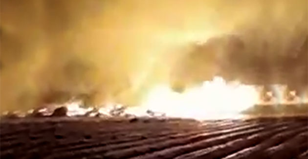 Incendio intencional en un campo de Loma Verde: indignación y sospechas