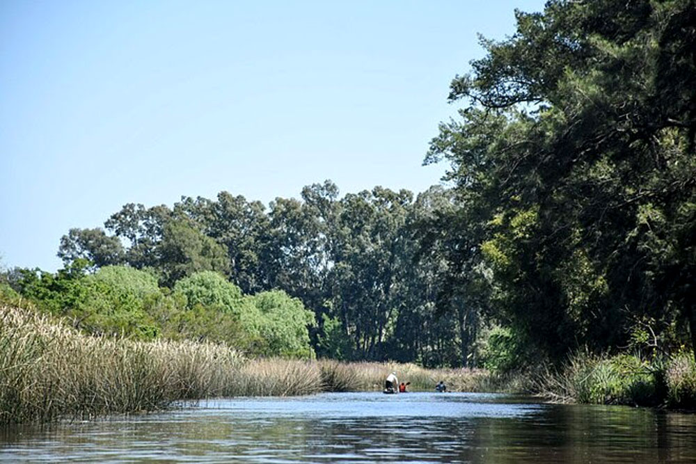 Reserva Natural de Maschwitz