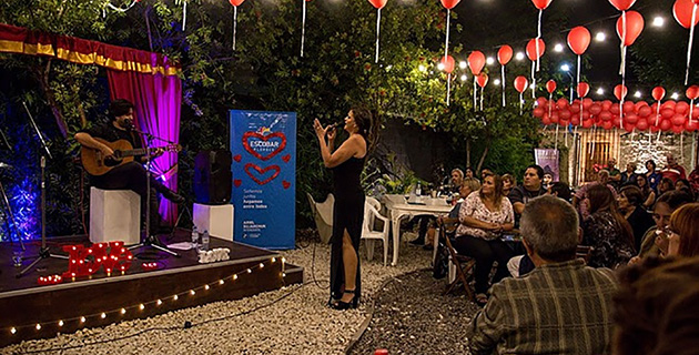 El Municipio eliminará un impuesto para promover a los artistas locales