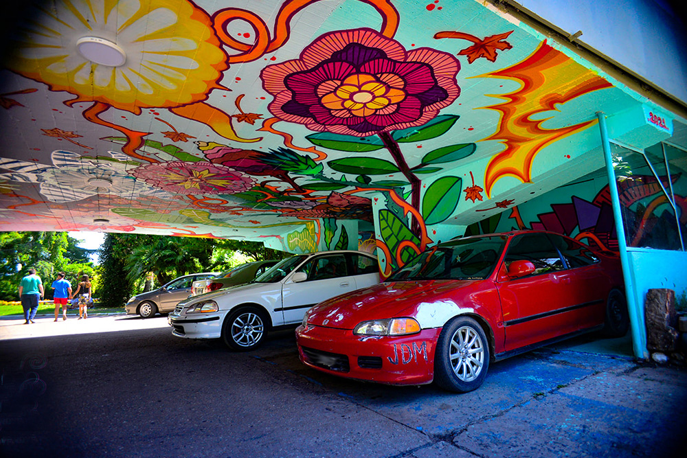 Japan Meet en la Fiesta de la Flor