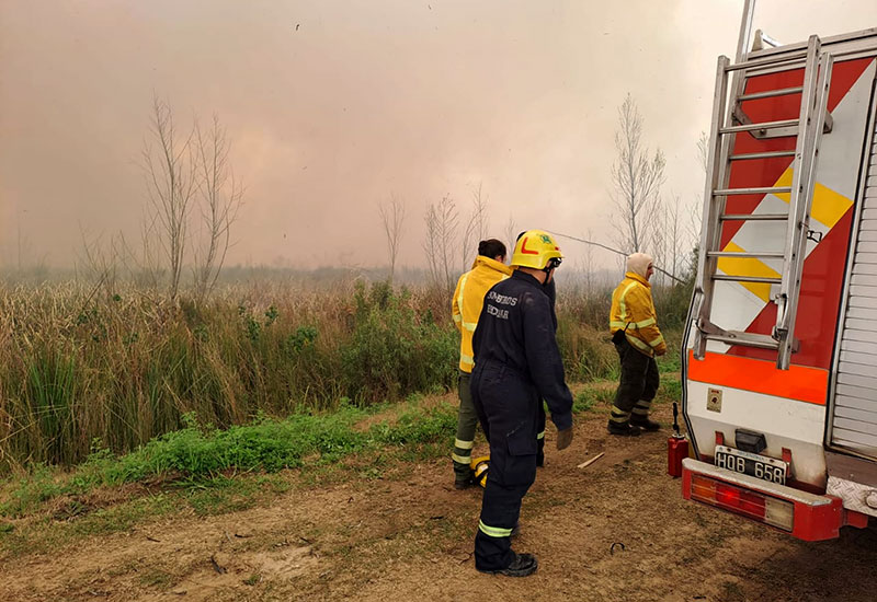 bomberos en el incendio
