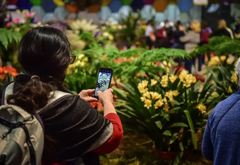gente sacando fotos en la fiesta de la flor