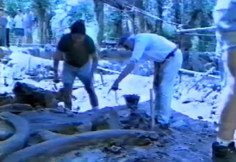 restos de la ballena encontrada en Maschwitz