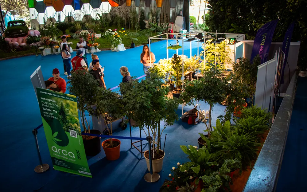 Por primera vez el cannabis está presente en la Fiesta Nacional de la Flor