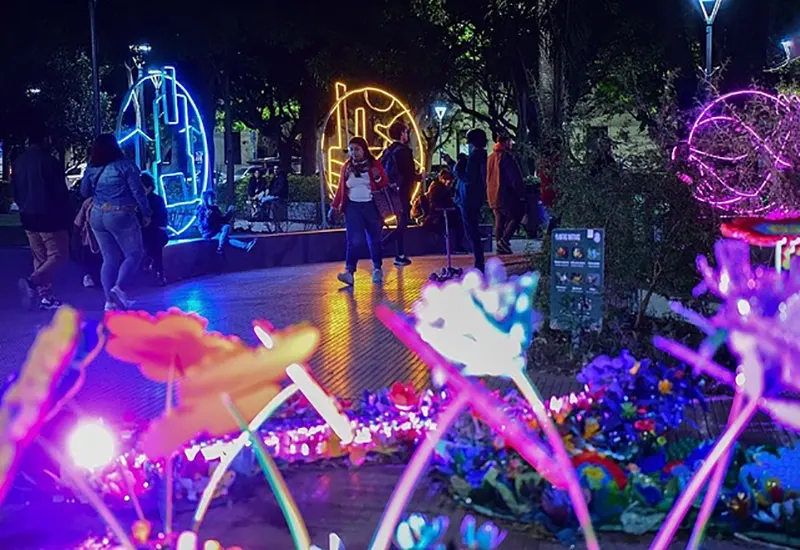 jardín de plantas y flores plásticas en la plaza