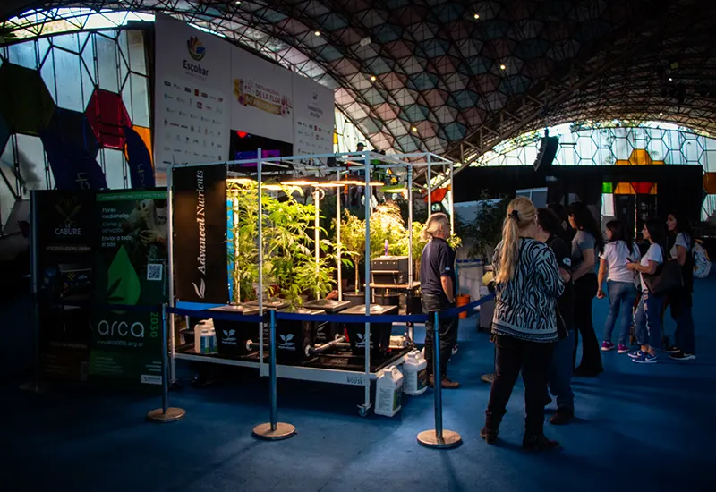 gente pasando frente al stand de cannabis
