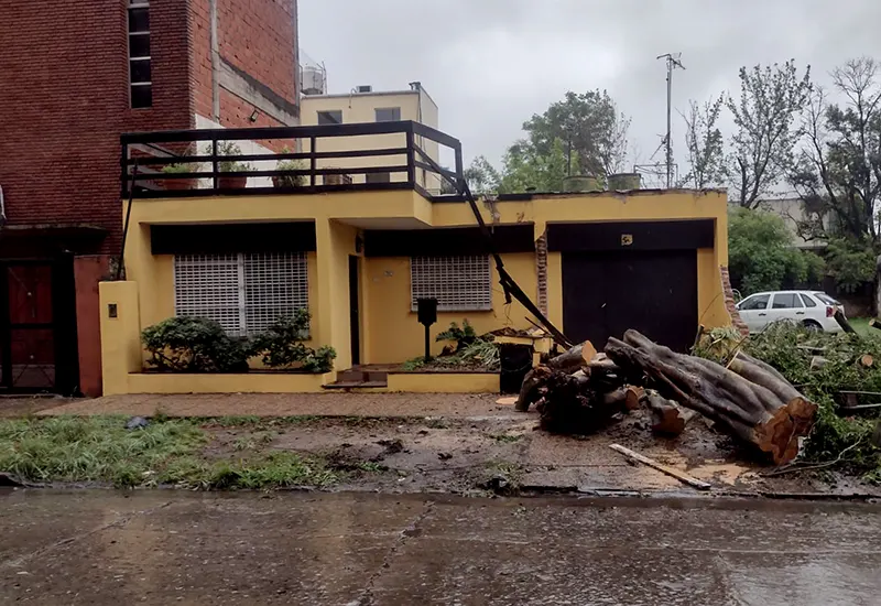 un árbol cayó sobre una casa en el centro de Escobar durante el temporal