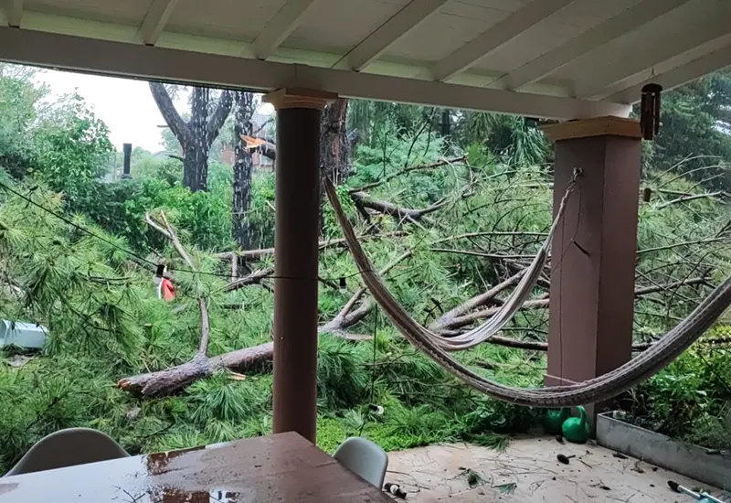 árboles caídos por el temporal en el barrio Fincas de Maschwitz