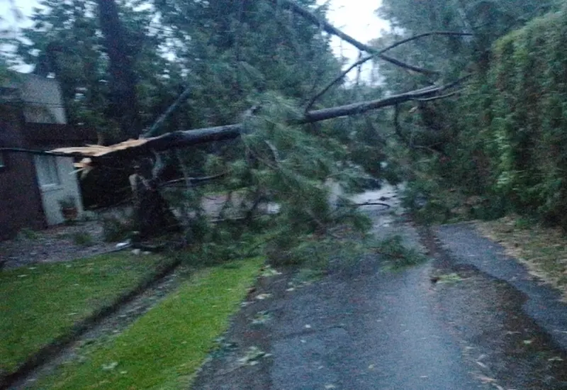 postes de Edenor volteados por el temporal