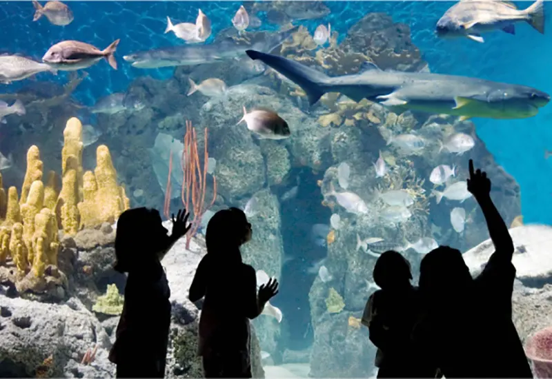 acuario de Temaikèn
