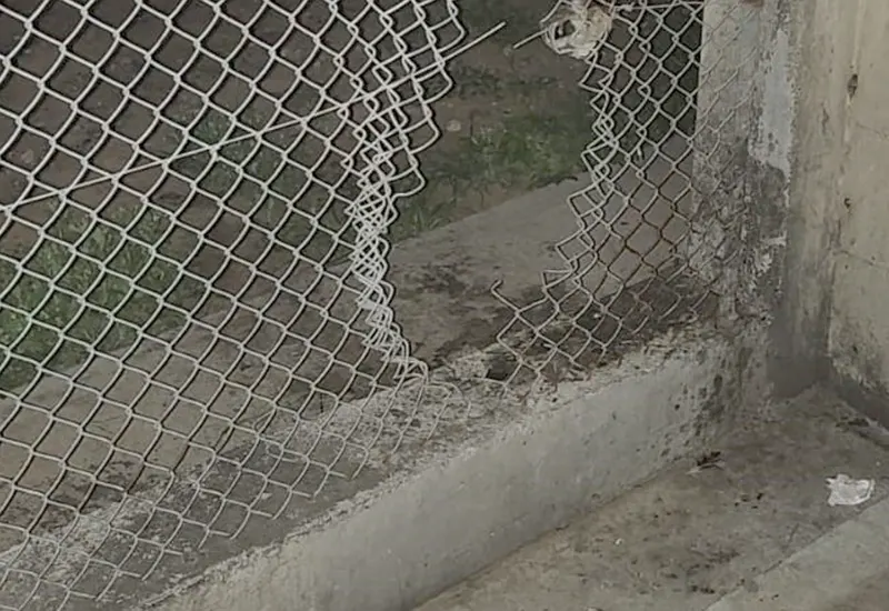 boquete realizado por Ruiz Díaz en el alambrado del penal