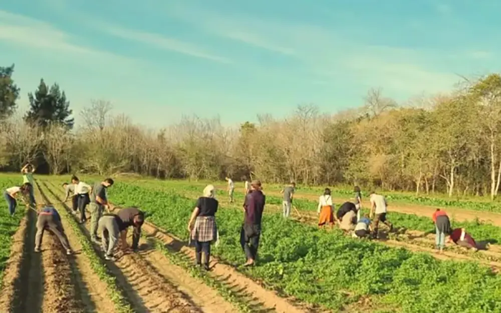 Qué es El Cauce, el proyecto de vida comunitaria que se instalará en Escobar