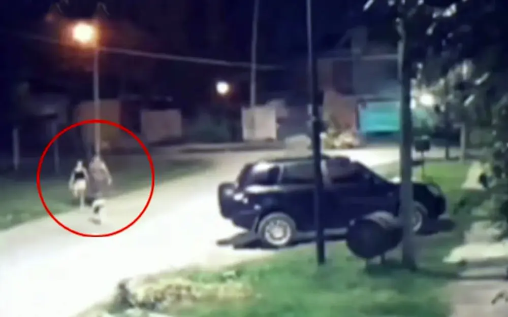 Relato de terror: denuncian que intentaron secuestrar a una menor en Garín