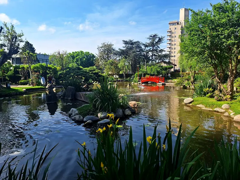 lago del jardín japonés