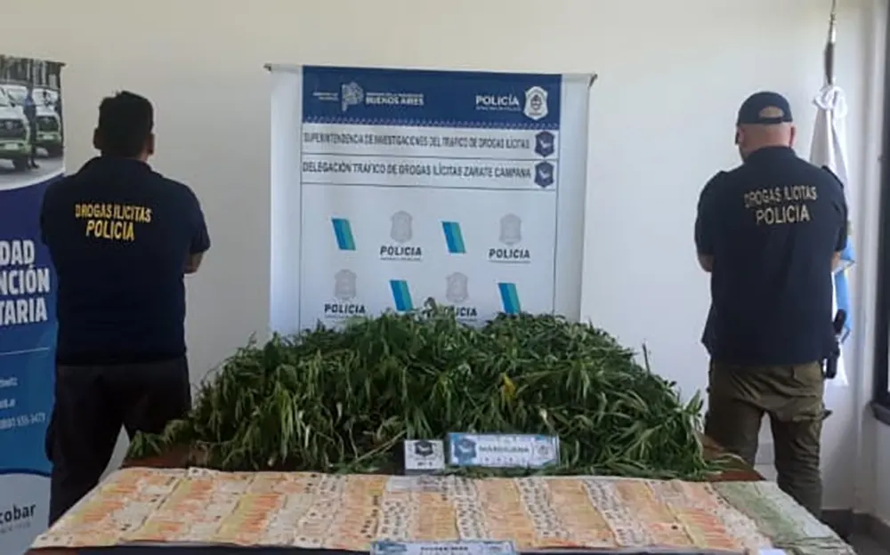 Desbaratan banda de narcomenudeo en Garín con 17 kilos de marihuana