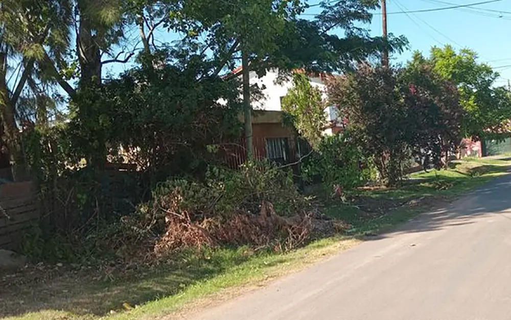 Falta de recolección de ramas y basura en el barrio Stone