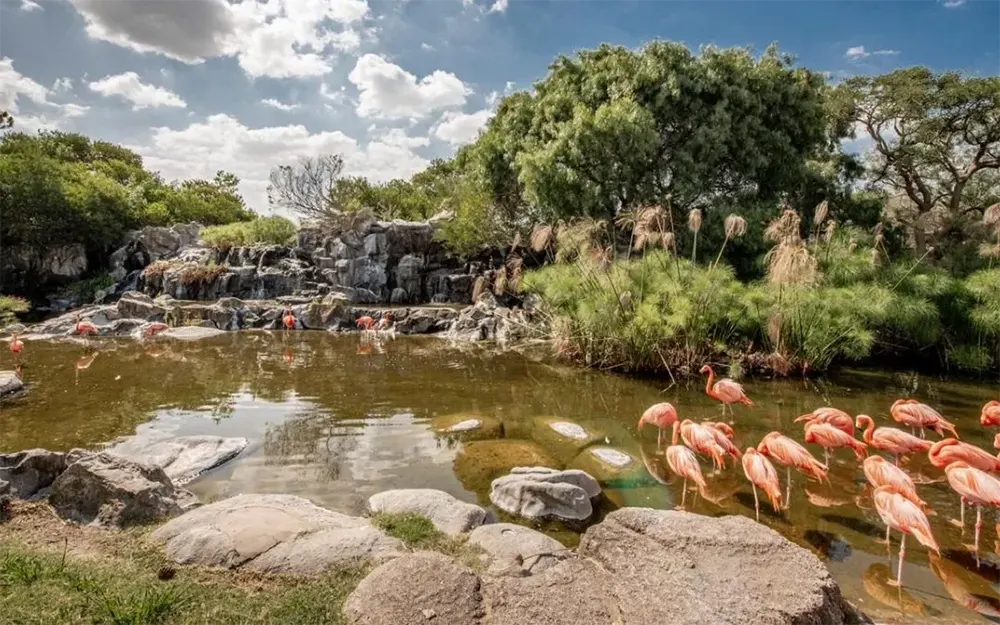 Temaikèn actualizó el precio de la entrada diferencial para vecinos de Escobar