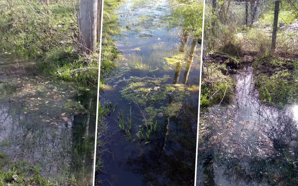 zanja con agua acumulada agua acumulada por falta de zanejo