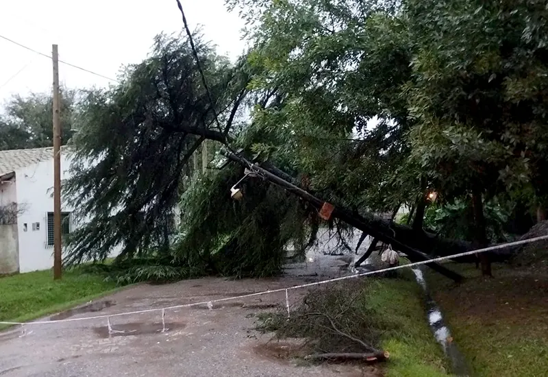 árbol y poste caído en Garín por el temporal