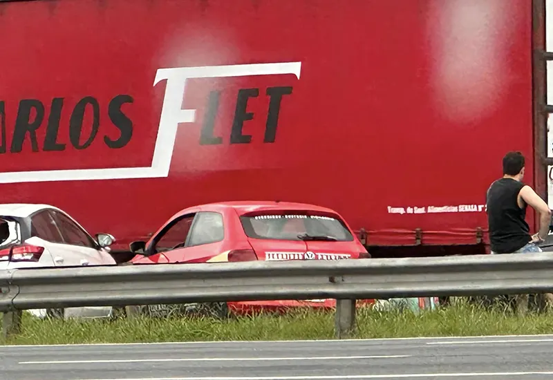 vehículos involucrados en el accidente