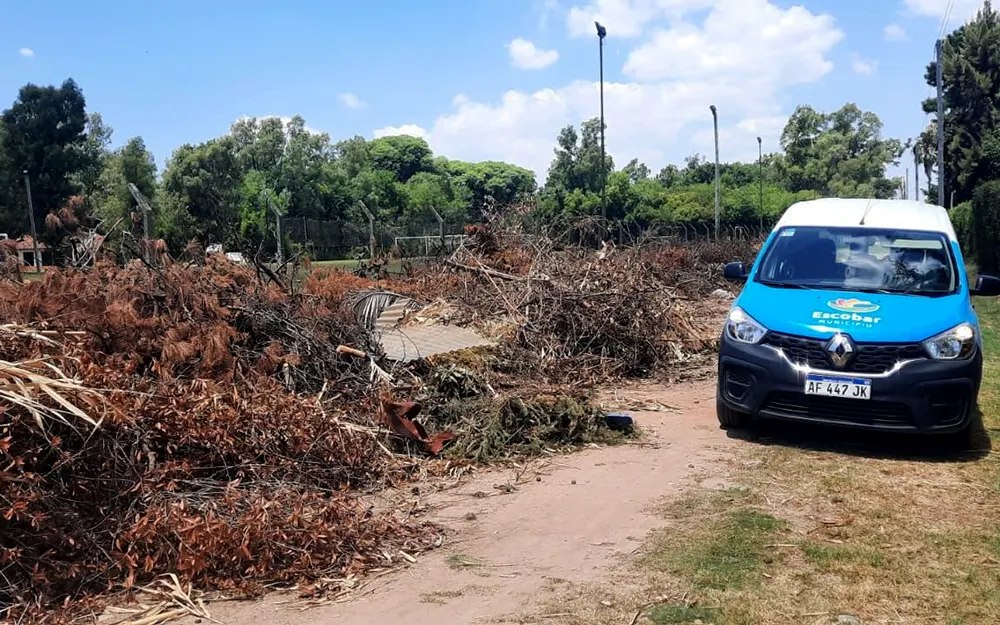 ramas arrojadas a un costado de la calle